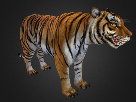Realistic Tiger Model of Sub-era