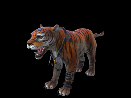 South China Tiger