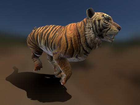 With binding tiger model with animation tiger model