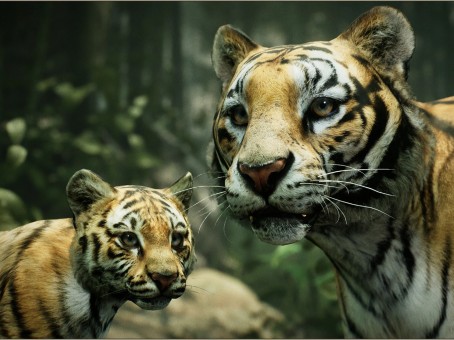 Tiger animation model engineering file ue4 big cat drink water turn away UE5 unreal engine realistic cat