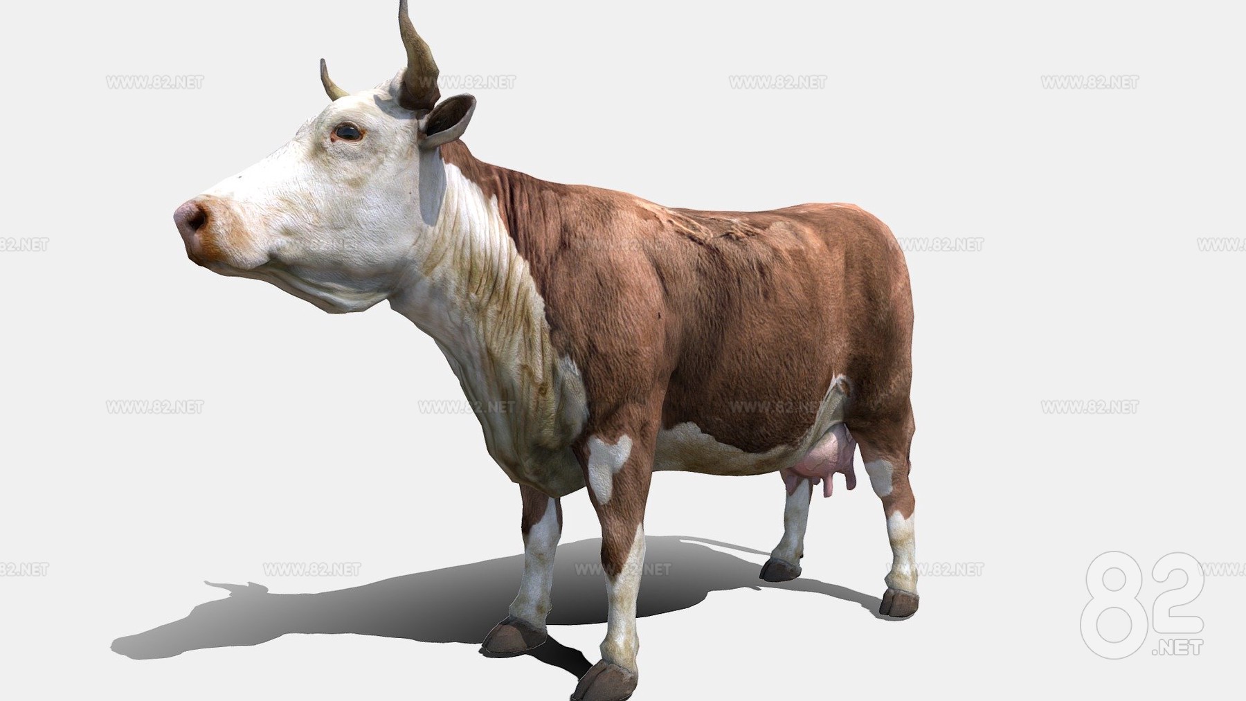 Realistic Ranch Cow Model of Sub-era 3d Model max | 82Models