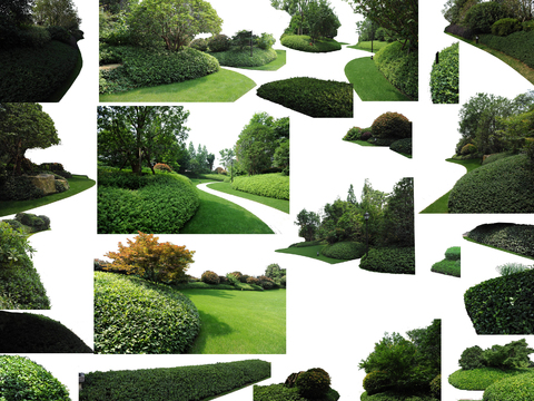 modern landscape tree big tree bushes psd