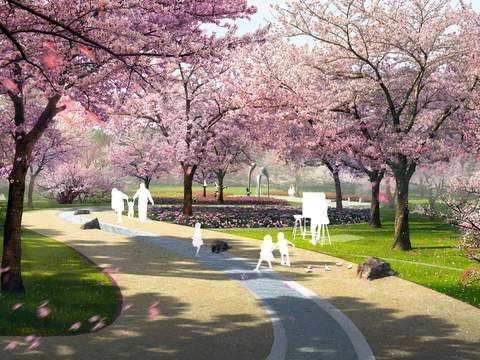 modern cherry blossom park landscape psd