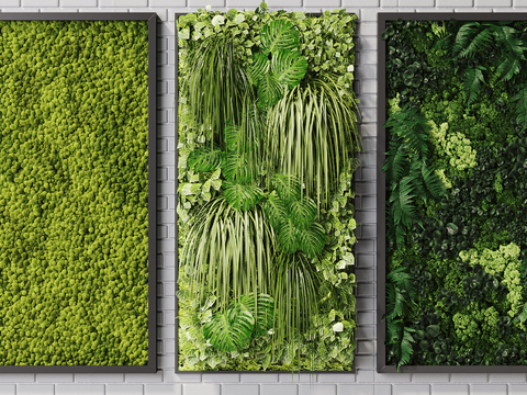 Modern Green Plant Wall