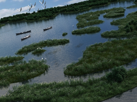 Modern Wetland Park Landscape