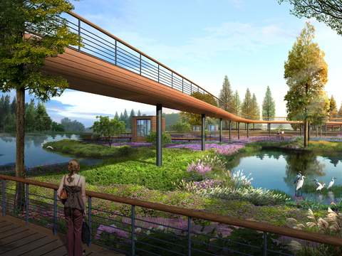 modern covered bridge wetland landscape psd