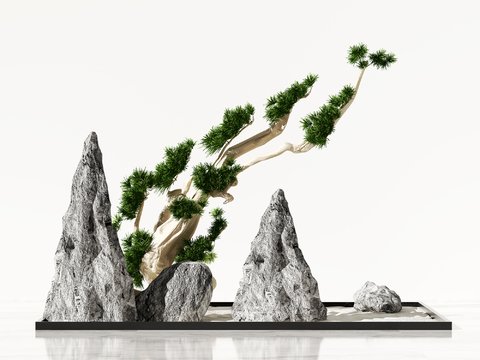 New Chinese pine rockery sketch