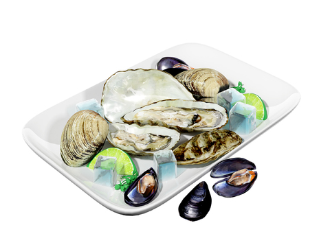 gourmet seafood raw oysters