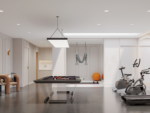 Modern billiard room fitness room