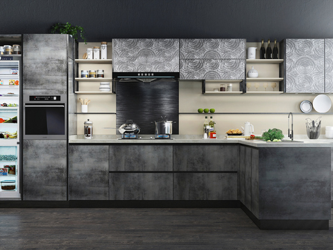 Modern Kitchen Cabinets