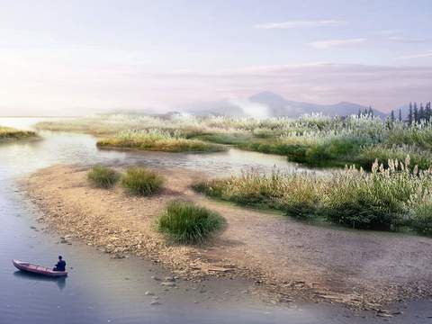 modern wetland oar boatman garden bird's eye psd