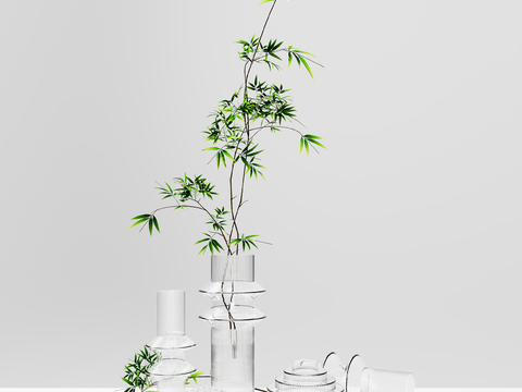 Modern hydroponic green plant glass vase