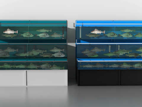 Modern Seafood Restaurant Shows Fish Tank