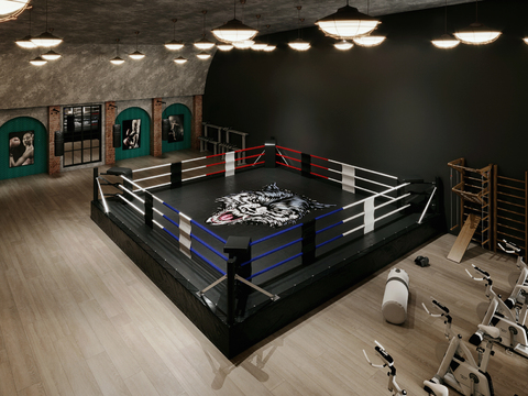 Industrial wind gym boxing ring