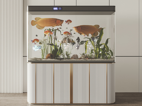 Modern fish tank aquarium