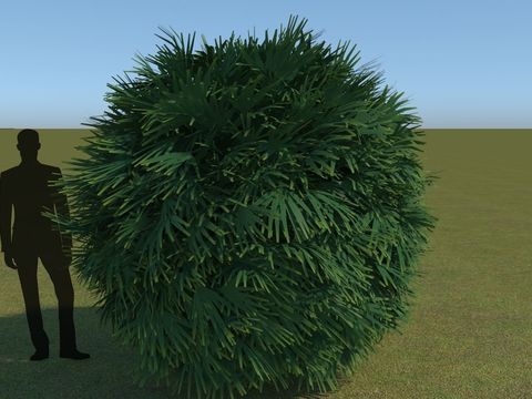 Modern Green Shrub Free