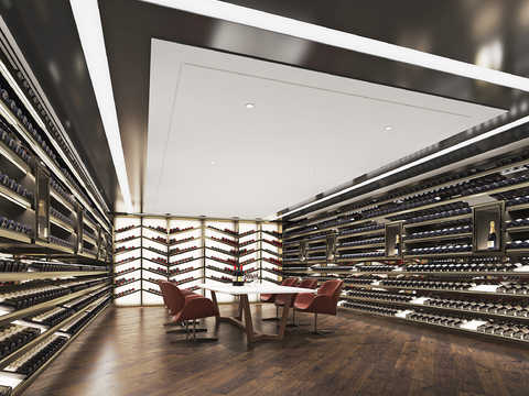 Modern Wine Cellar Wine Room