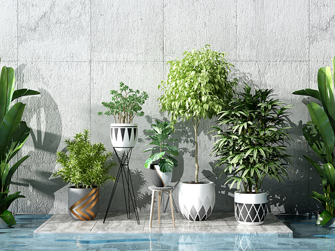 Modern plants potted free