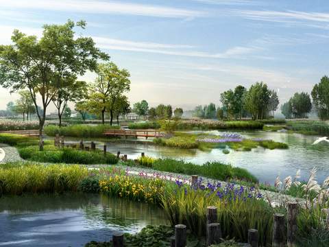 Modern Wetland Park Garden psd