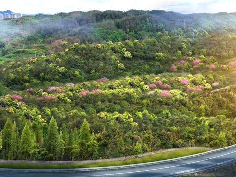 hillside mountain retaining wall vegetation psd