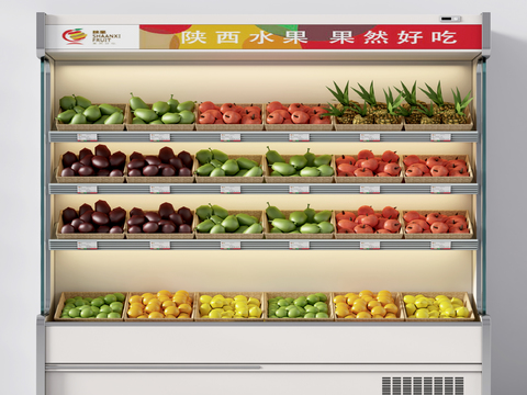 Modern shopping mall fruit freezer shelves