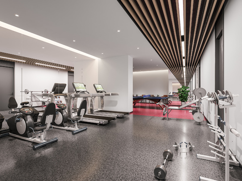 Modern Gym Exercise Room