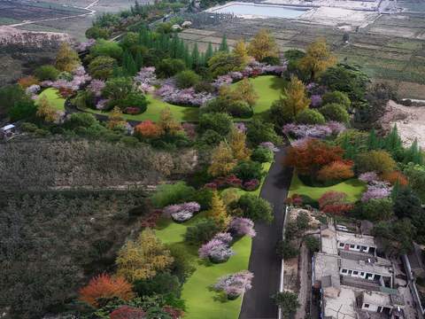 Neo-Chinese Style wetland garden bird's eye view psd