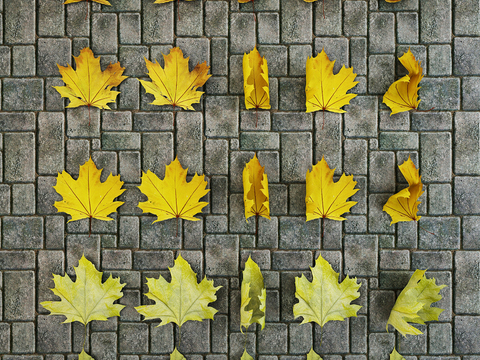 Modern Maple Leaf Wall Decoration