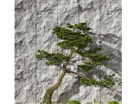 New Chinese pine landscape sketch