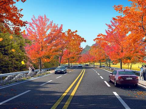 modern maple park landscape psd