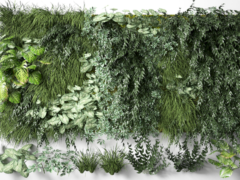 Modern Green Plant Wall