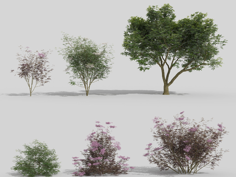 Modern combination of flowers, plants and landscape trees