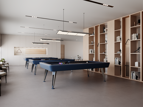 Club Table Tennis Room Billiard Room