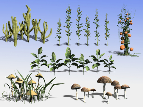 Modern Plant Flowers Mushroom Corn Pumpkin