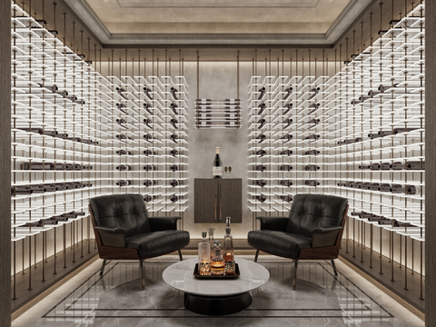 minotti Modern Villa Wine Cellar