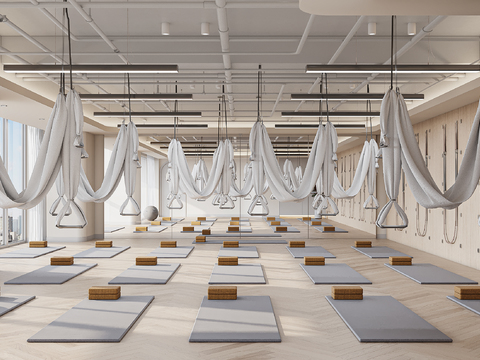 Nordic Yoga Studio Gymnastics Room