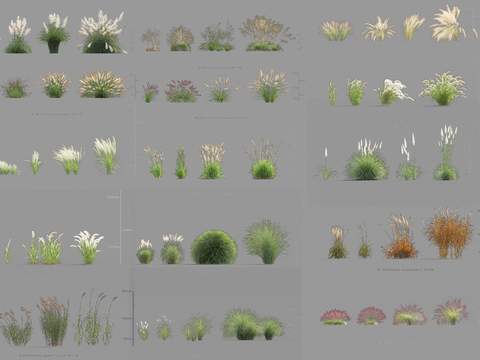 modern bush Plants psd