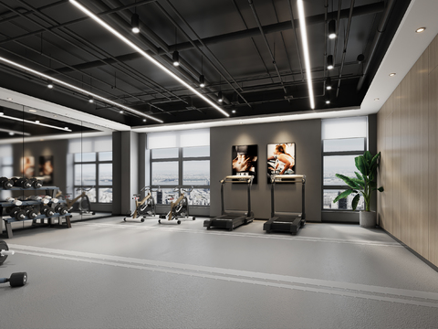 Modern senior gray gym