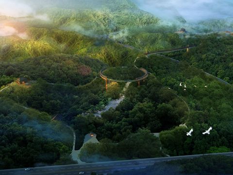 modern wetland forest garden bird's eye view psd