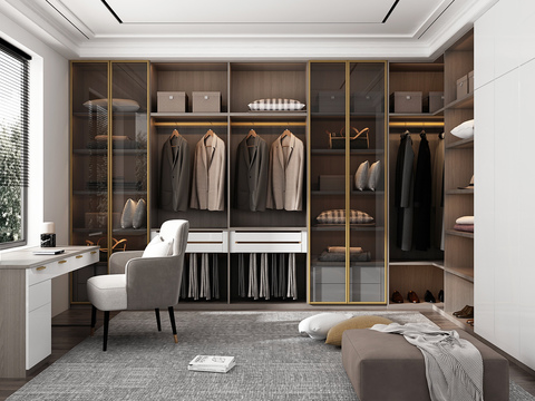 Modern Affordable Luxury Style Cloakroom