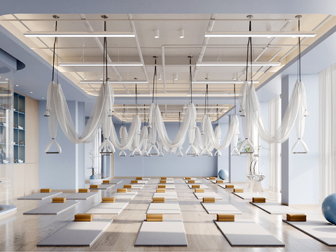 Modern Yoga Studio Gymnastics Room