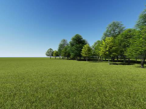 modern lawn big tree trees landscape tree psd