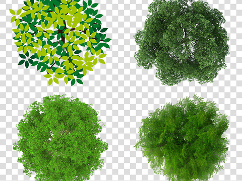 modern classic flat plant landscape psd