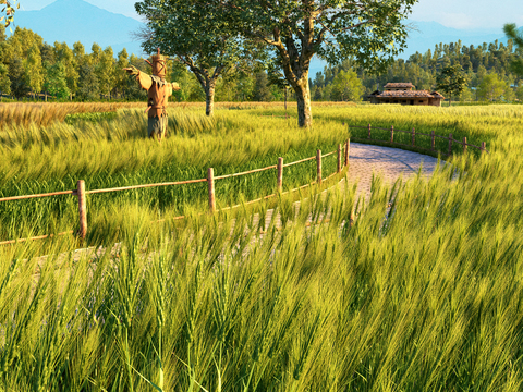 Natural Wind Country Wheat Field Landscape