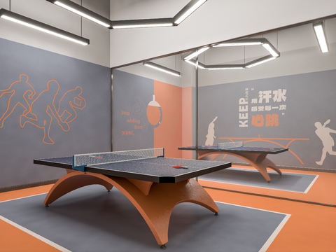 Table Tennis Room