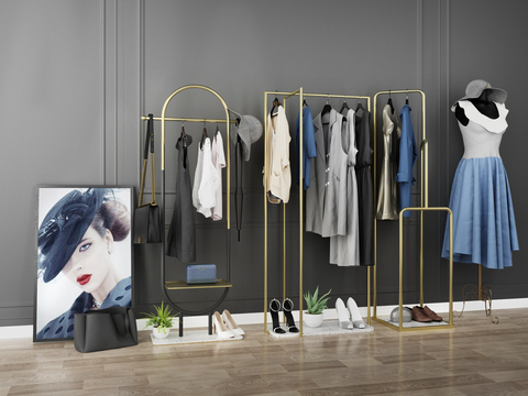 Modern Affordable Luxury Style Women's Clothes Hanger Shelf