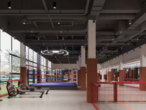 modern gym boxing gym