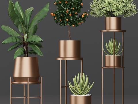 Modern potted plant combination