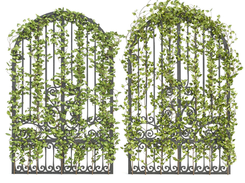 Modern Green Plant Vine Fence