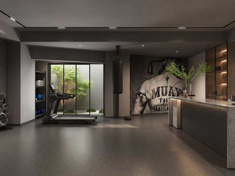 Underground fitness and leisure area of modern villa